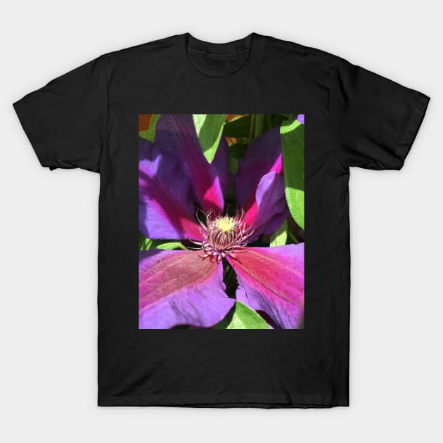 Stunning Purple Climbing Clematis Blooming Flower Power! T-Shirt by Photomersion